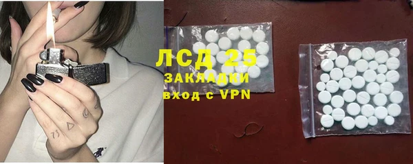 ПСИЛОЦИБИНОВЫЕ ГРИБЫ Баксан