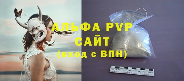 ПСИЛОЦИБИНОВЫЕ ГРИБЫ Баксан