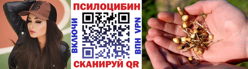 Псилоцибиновые грибы мицелий  Купить где  Межгорье 